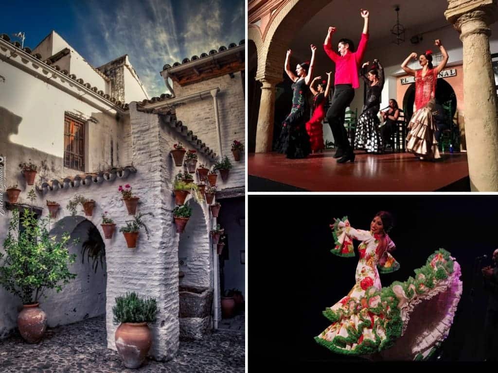 Flamenco Cordoue